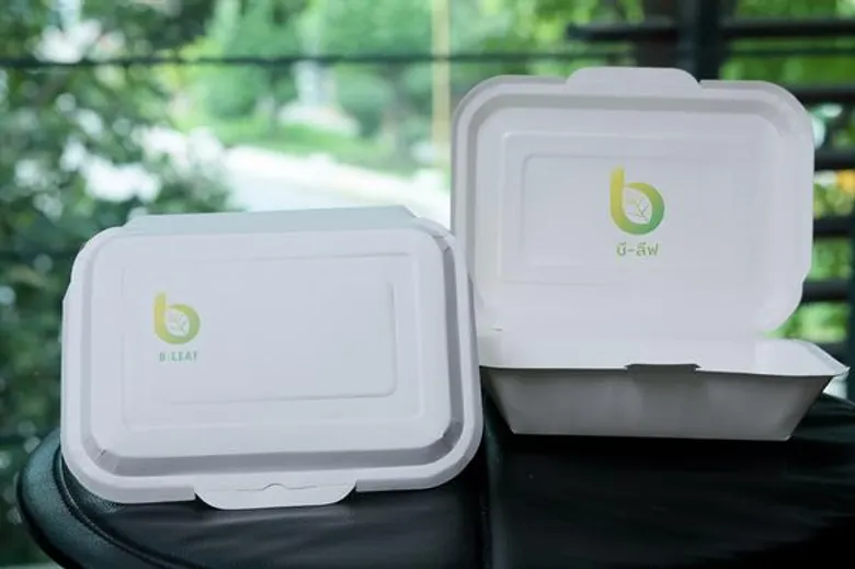 TPLAS วางหมาก รุก แบรนด์ "B-LEAF" ล็อต 2 ส่งซิกเตรียมลุย โปรดักส์ไลน์ใหม่เพิ่ม – ดันยอดขายพุ่ง
