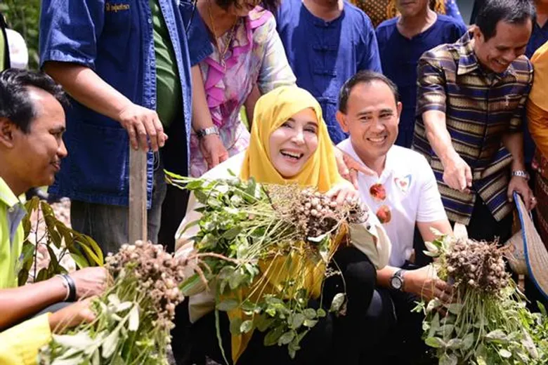 รมช.มนัญญา เยี่ยมชมการส่งเสริมปลูกถั่วหรั่งแซมในสวนยางพารา สร้างรายได้ให้สมาชิกกลุ่มเกษตรกรทำนาตะโหมด จังหวัดพัทลุง