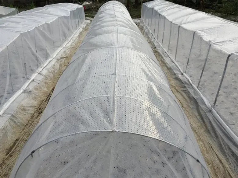 สัมผัสเทคโนโลยีเกษตรแห่งอนาคตในมหกรรม Asia Agri-tech Expo & Forum 2019