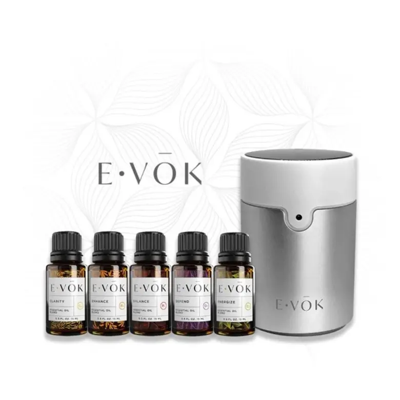 เปิดรับสัมผัสใหม่แห่งความรื่นรมย์ E–VOK (เอ-โวค)