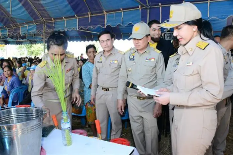 รัฐมนตรีช่วยฯ มนัญญา ติดตามสถานการณ์การระบาดของโรคไหม้คอรวงข้าวในพื้นที่จังหวัดสุรินทร์ พร้อมเตรียมมาตรการช่วยเหลือ และลงพื้นที่ให้กำลังใจเกษตรกรที่ได้รับผลกระทบ