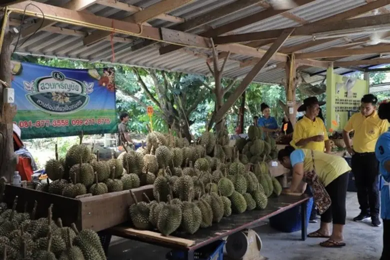 กรมส่งเสริมการเกษตรชูงานท่องเที่ยววิถีเกษตรสนองนโยบายรัฐสร้างงานสร้างรายได้ให้เกษตรกร