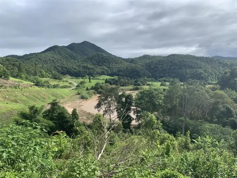 เต็ดตรา แพ้ค ประเทศไทย จัดโครงการปลูกป่า 1,000 ต้น ฉลองวันสิ่งแวดล้อมไทย