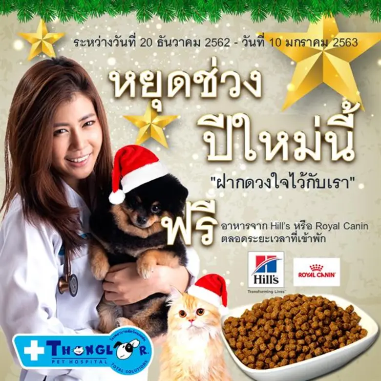 รพส.ทองหล่อ เปิดบริการรับฝากน้องหมา-น้องแมว ช่วยเจ้าของอุ่นใจคลายกังวล ตลอดช่วงหยุดยาวปีใหม่
