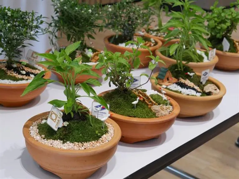 เจียไต๋เอาใจสายกรีน แนะนำไอเดียของขวัญปีใหม่ DIY จากพีทมอส พร้อมแอปพลิเคชัน Chia Tai Fun สร้างประสบการณ์การเพาะปลูกที่ง่ายและสนุกกว่าเดิม