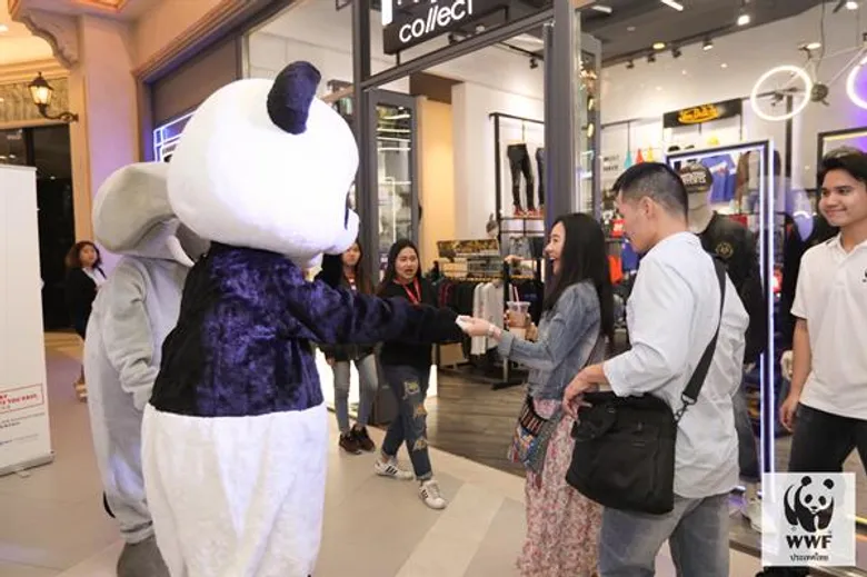 WWF ประเทศไทยผนึก 5 พันธมิตรลุยแคมเปญ “เที่ยวไทยไร้การซื้อขายงาช้าง”