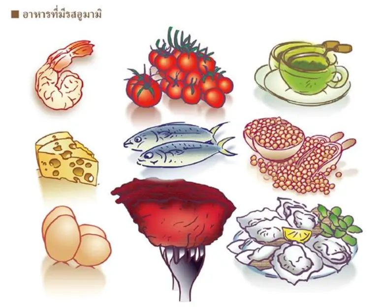 รสอูมามิมีความสำคัญมากกว่าที่คุณคิด มีผู้...