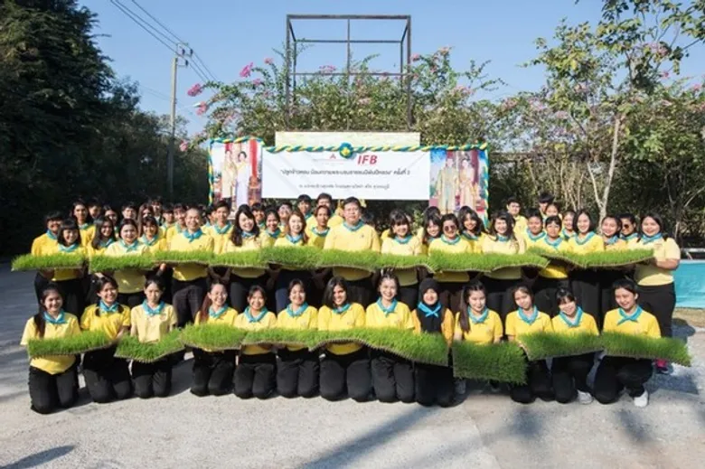 IFB จัดกิจกรรมเทิดพระเกียรติ “ปลูกข้าวหอม น้อมถวาย พระบรมราชชนนีพันปีหลวง”ครั้งที่ 2 และ “เกี่ยวข้าวหอมน้อมถวาย พระบาทสมเด็จพระบรมชนกาธิเบศร มหาภูมิพลอดุลยเดชมหาราช บรมนาถบพิตร”