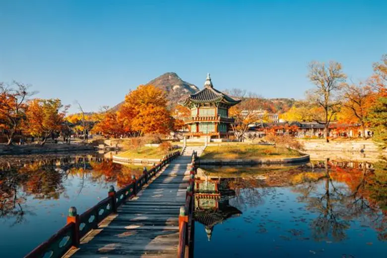 Airbnb เผย “ญี่ปุ่น” ติดโผ 5 เมืองยอดฮิตคนไทยไปเคาท์ดาวน์ฉลองปีใหม่