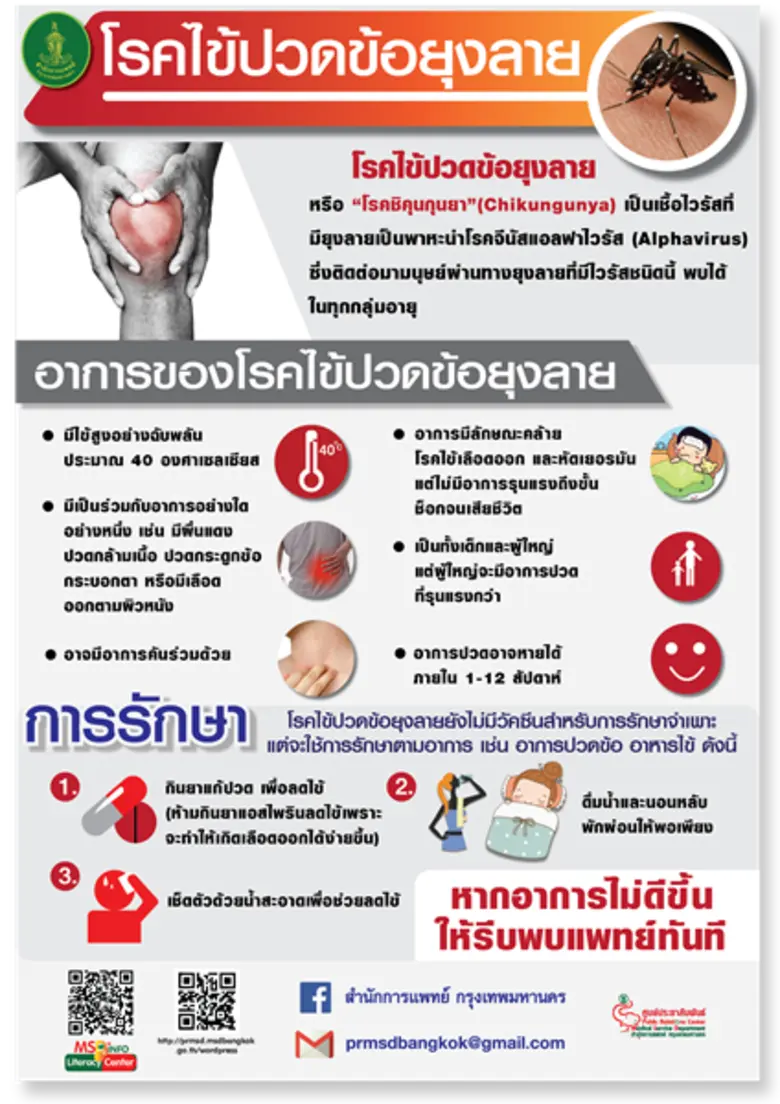 กทม.พร้อมรับมือการแพร่ระบาดโรคไข้เลือดออก - โรคชิคุนกุนยา
