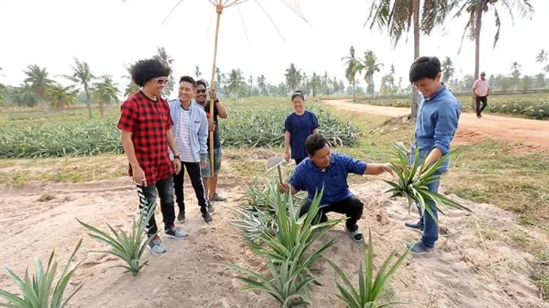 ทีวีไกด์: รายการ “ครัวลั่นทุ่ง” พล่ากุ้ง พาบุกสวนต้นตำหรับสับปะรดศรีราชา