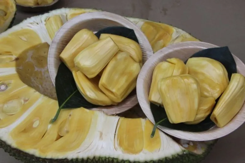 สสก.3 ระยอง นำสื่อมวลชนชมความสำเร็จ “วิสาหกิจชุมชนแปลงใหญ่ขนุนตำบลหนองเหียง” ชูเป็นขนุน GI อำเภอพนัสนิคม จังหวัดชลบุรี