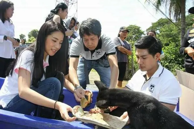 26 ปี สมาคมป้องกันการทารุณสัตว์แห่งประเทศไทย