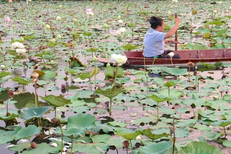 “สาธิตกรุงเทพธนบุรี” เปิดสระบัวขนาดยักษ์เป็น “ปอดแห่งใหม่ ของชาวฝั่งธนฯ”