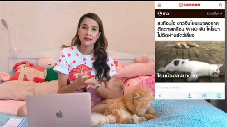 ลูกเกด ร่มเกล้า สุดช็อค หมาแมว ถูกโยนทิ้งตึกสูง ยันไวรัสโคโรน่า จากสัตว์ไม่ติดสู่คน วอนอยุดทำร้ายแต่ดูแลให้ถูกวิธี