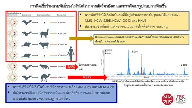 ปอดบวมจากอู่ฮั่น: ประเทศไทยจุดไหน “ใช่พอดี”