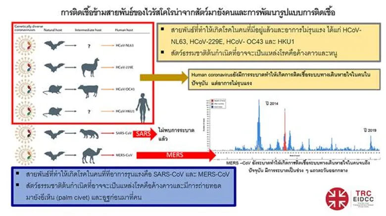 ปอดบวมจากอู่ฮั่น: ประเทศไทยจุดไหน “ใช่พอดี”