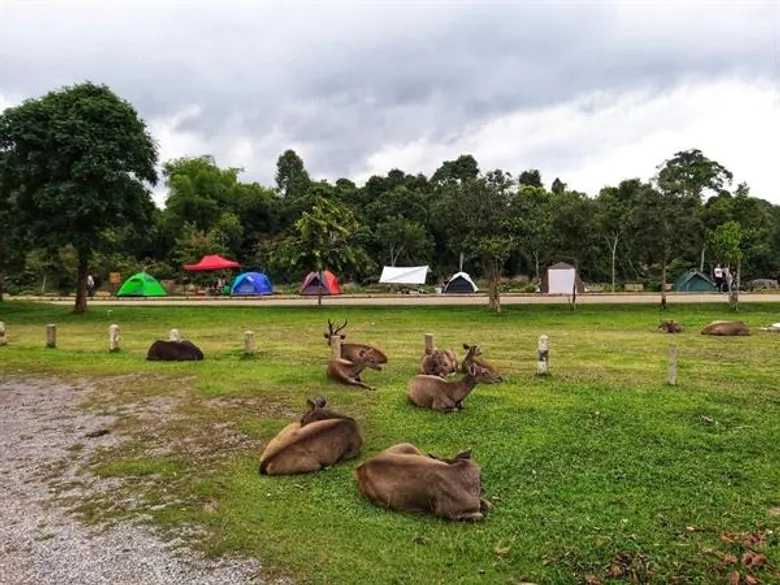 มทร.อีสาน พร้อมเผยผลสำรวจคนโคราช ต้องการให้โคราชเป็น Green City ในอนาคต
