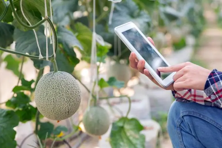 เจาะลึกเทคโนโลยี 5G สุดล้ำที่ทุกคนต้องรู้ วิศวะฯ ธรรมศาสตร์ บ่มเพาะบัณฑิตยุคใหม่ สร้างนวัตกรรมรับประเทศไทย 4.0