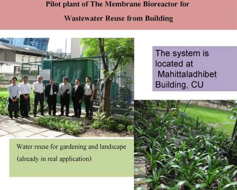 โดย ฝ่ายสื่อสาร แผนงานยุทธศาสตร์เป้าหมาย ...