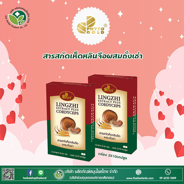 บริษัท ผลิตภัณฑ์สมุนไพรไทย จำกัด ( ไทยเฮิ...