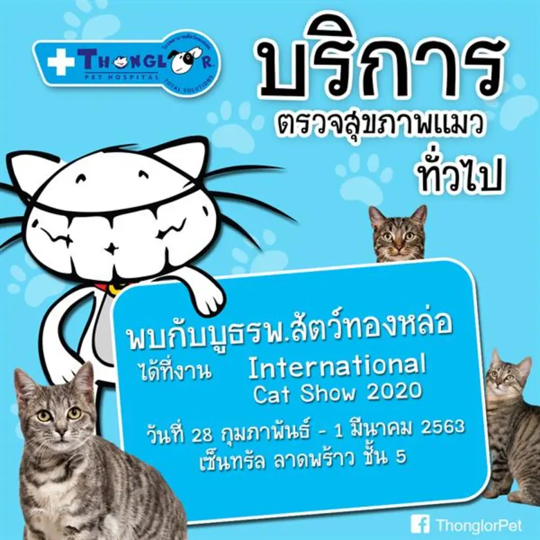 โรงพยาบาลสัตว์ทองหล่อ ชวนเหล่าบรรดาทาสน้อ...