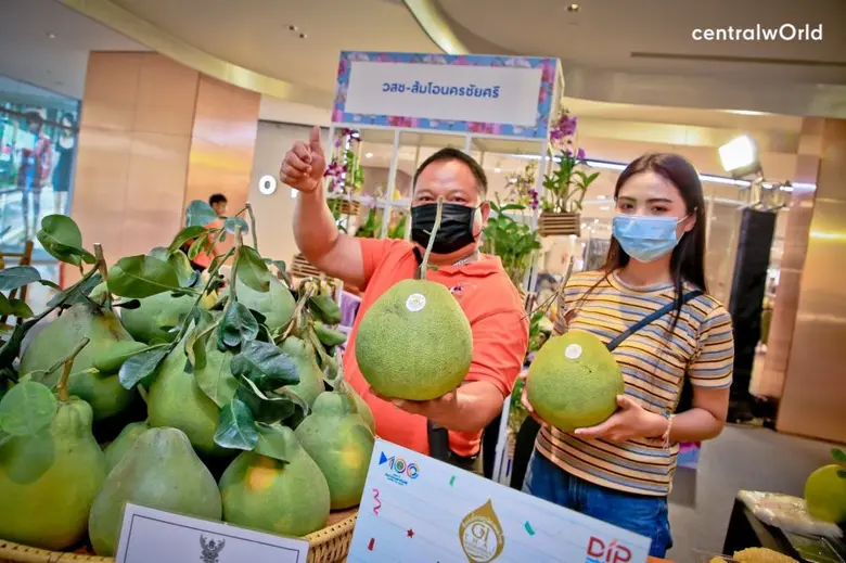 เซ็นทรัลพัฒนา 'ห่วงใย-จริงใจ-ให้ความเชื่อมั่น’ ปรับเวลาการให้บริการ และแบ่งเบาภาระช่วยเหลือร้านค้าอย่างเต็มที่