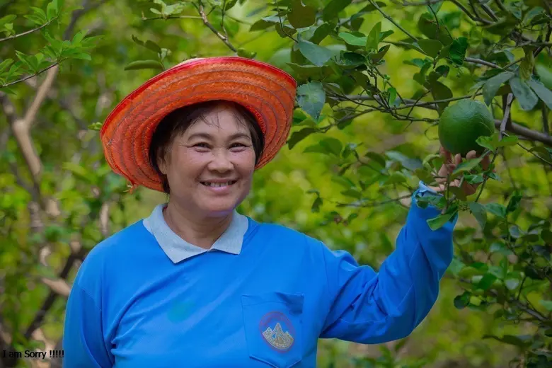 ซีพีเอฟหนุนสร้างความมั่นคงทางอาหารในชุมชน"ปลูกผักปลอดสาร"