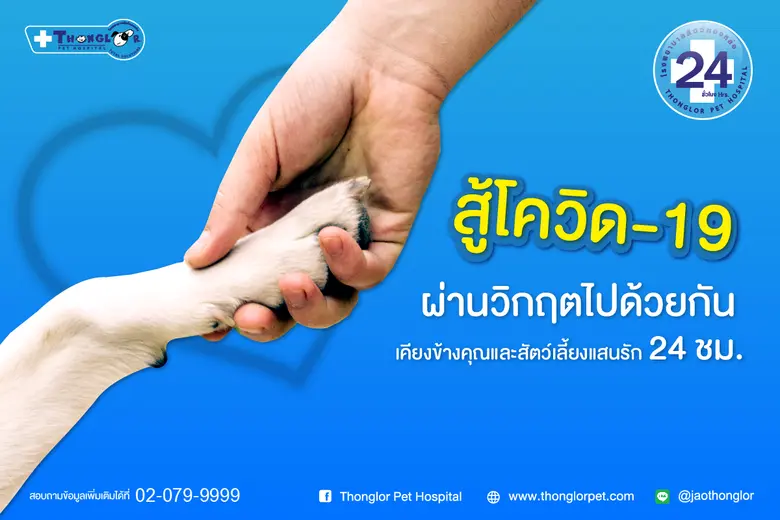 ในช่วงที่สถานการณ์การระบาดของโรคติดเชื้อไ...