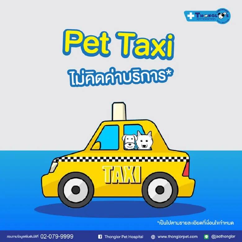 รพส.ทองหล่อ เปิดบริการVet Online Consultลดเสี่ยงCOVID-19 ให้คำปรึกษาเบื้องต้น ไม่คิดค่าใช้จ่าย