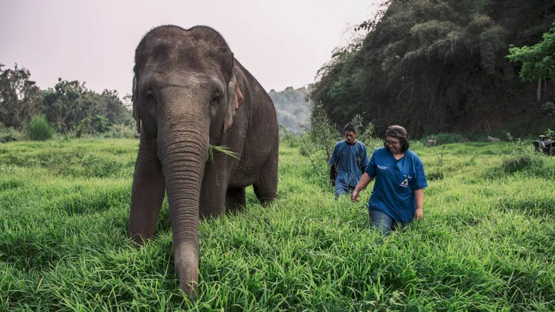 กลุ่มโรงแรมอนันตราร่วมฉลอง 50 ปี วันคุ้มครองโลก (Earth Day) ด้วยหลากโครงการรักษ์โลก