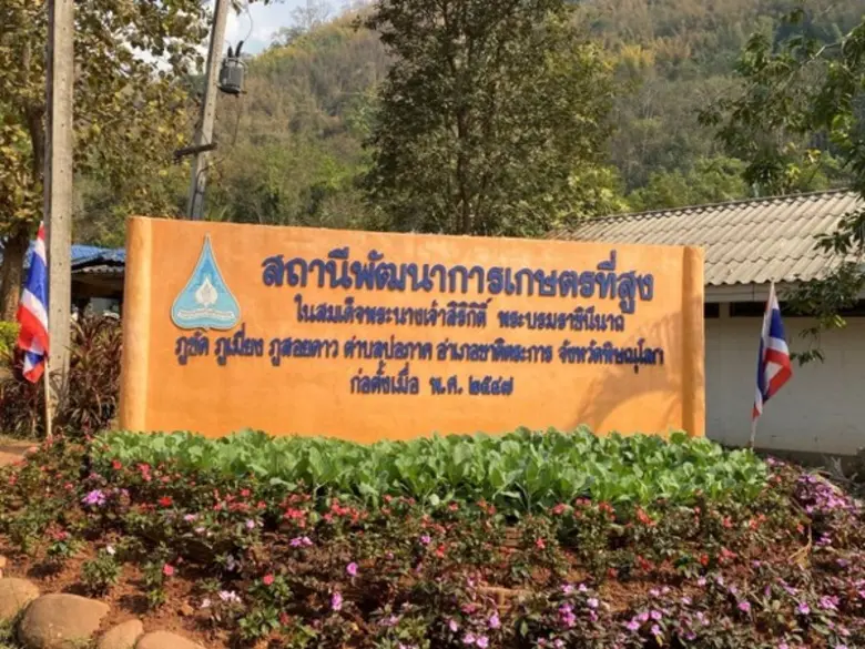 ราษฎรพื้นที่ที่สูง ภูขัด ภูเมี่ยง ภูสอยดาว อ.ชาติตระการ จ.พิษณุโลก วันนี้ราษฎรมีกินมีใช้สมบูรณ์