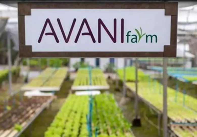 There is no better time to grow your own ...