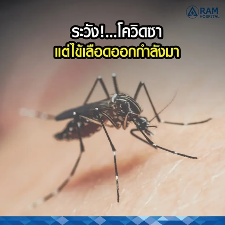 ช่วงนี้นอกจากจะต้องระวัง COVID-19 แล้ว โร...