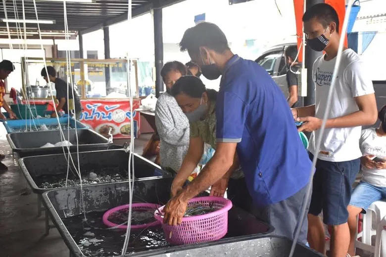ประมงสุพรรณบุรี โชว์โมเดลความสำเร็จในการระบายผลผลิตสัต ว์น้ำ พร้อมผลักดันสร้างต้นแบบ “ตลาดกุ้งก้ามกราม” ประจำจังหวัด
