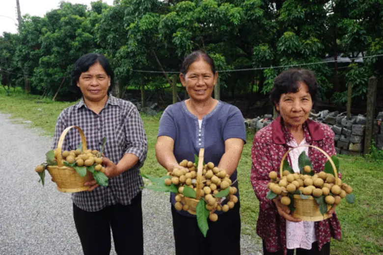 หนุนกลุ่มเกษตรกรหัวก้าวหน้าร่วมจำหน่ายสินค้าเกษตรบนแพลตฟอร์มออนไลน์