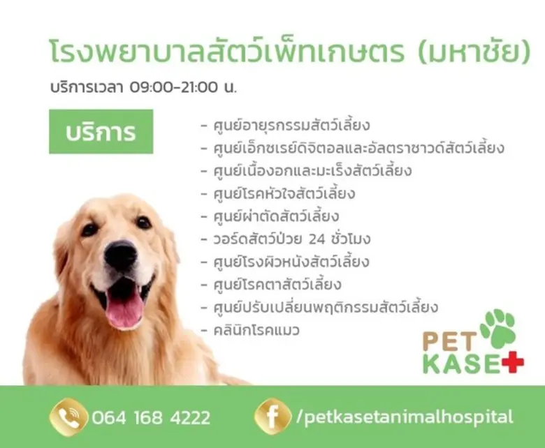 โรงพยาบาลสัตว์เพ็ทเกษตร (มหาชัย) บริการรั...