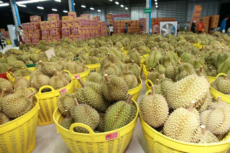 ผลไม้ไทยตามฤดูกาลได้รับการโปรโมทในเทศกาลข...