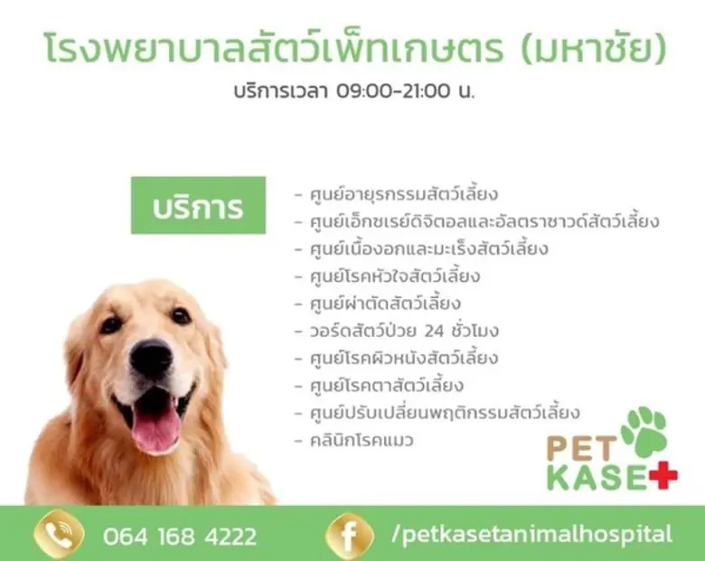 สถานบริการรักษาสัตว์เลี้ยง ในตำบลมหาชัย อ...