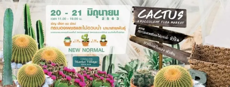 ตลาดกระบองเพชรและไม้อวบน้ำ หัวหิน 2563 ศู...