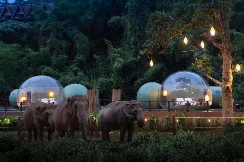ไมเนอร์ ขานรับนโยบาย 'เที่ยวปันสุข’ กระตุ้นท่องเที่ยวไทย พร้อมเปิดโรงแรมไทย – เทศ 535 แห่ง เต็มรูปแบบ รับดีมานด์กระตุ้นการท่องเที่ยวปลายปี