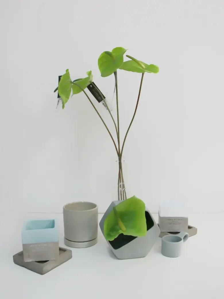 ไอเทมกุ๊กกิ๊ก ราคาประหยัด พร้อมให้วัยเรียน วัยทำงานได้ช้อปแล้วที่ เคดู โคเรีย มอลล์