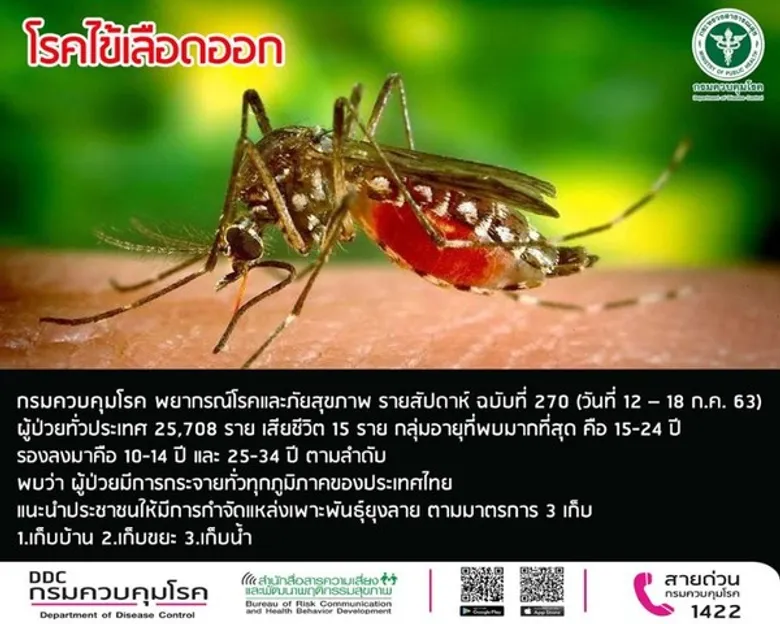 แนะกำจัดแหล่งเพาะพันธุ์ยุงลาย นครพนม เข้ม.! เฝ้าระวังไข้เลือดออก พบระบาด 4 อำเภอ