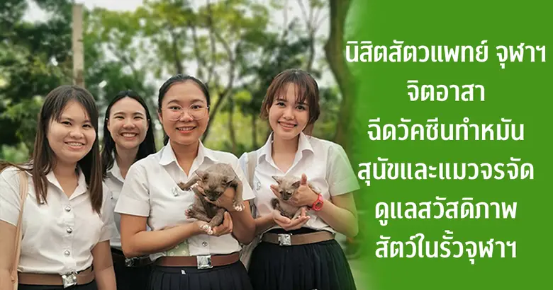 ปัญหาสุนัขและแมวจรจัดที่เพิ่มขึ้นอย่างรวด...