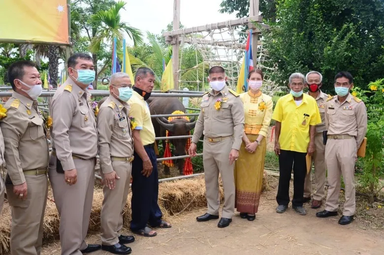 รมช.ธรรมนัส เปิดโครงการปศุสัตว์เคลื่อนที่เฉลิมพระเกียรติฯ จ.พะเยา ส่งมอบโค จากโครงการธนาคารโค - กระบือ90 ตัว ส่งเสริมช่วยเหลือเกษตรกร