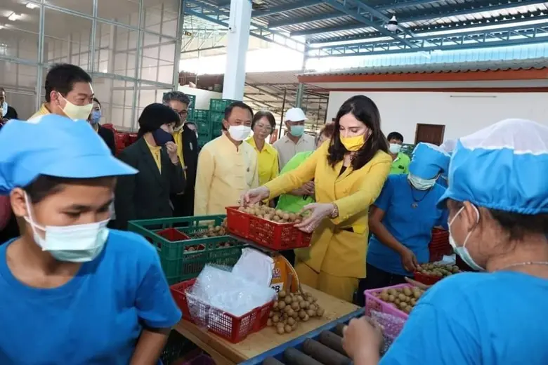 นางสาวมนัญญา ไทยเศรษฐ์ รัฐมนตรีช่วยว่าการ...