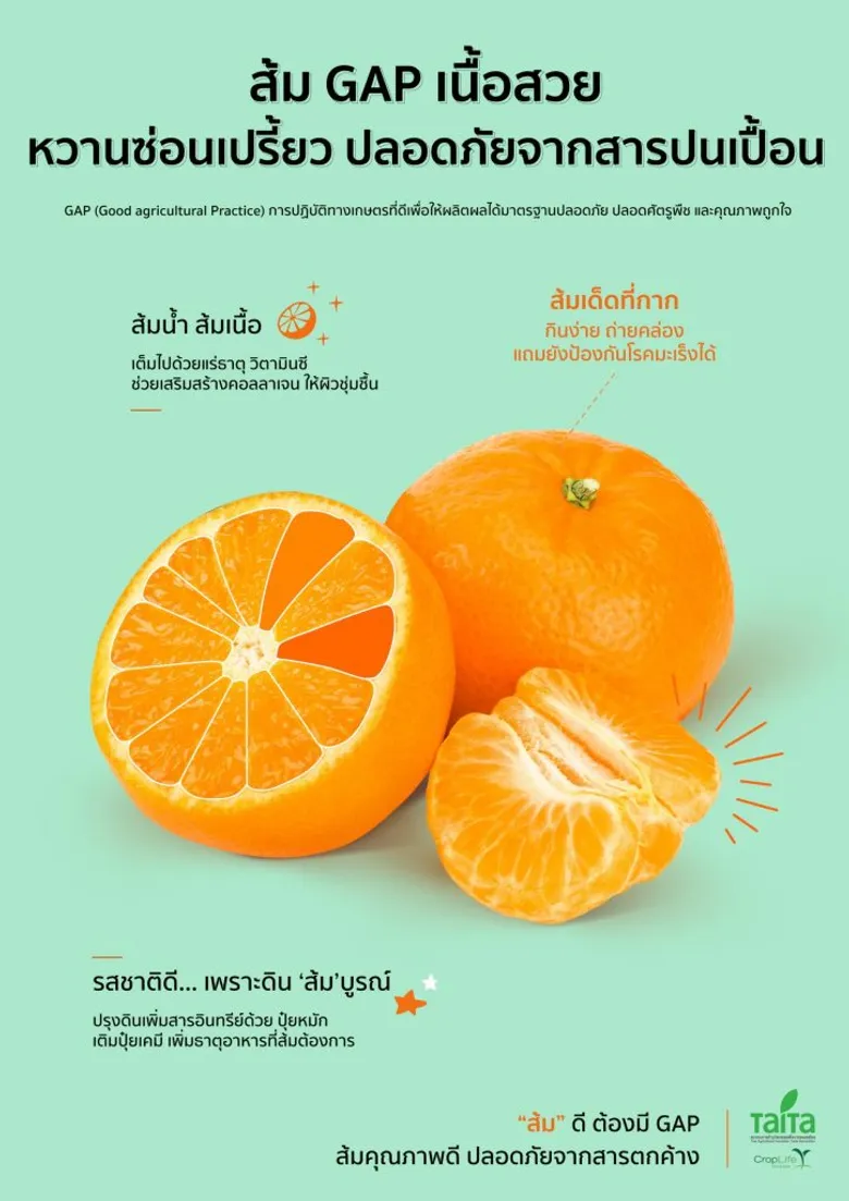 ไททา เดินหน้านำองค์ความรู้ เทคโนโลยีและนวัตกรรมเกษตร ผสานการทำเกษตรกรรมดั้งเดิม