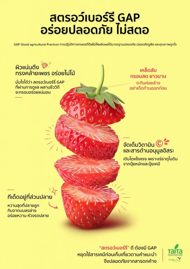 ไททา เดินหน้านำองค์ความรู้ เทคโนโลยีและนวัตกรรมเกษตร ผสานการทำเกษตรกรรมดั้งเดิม
