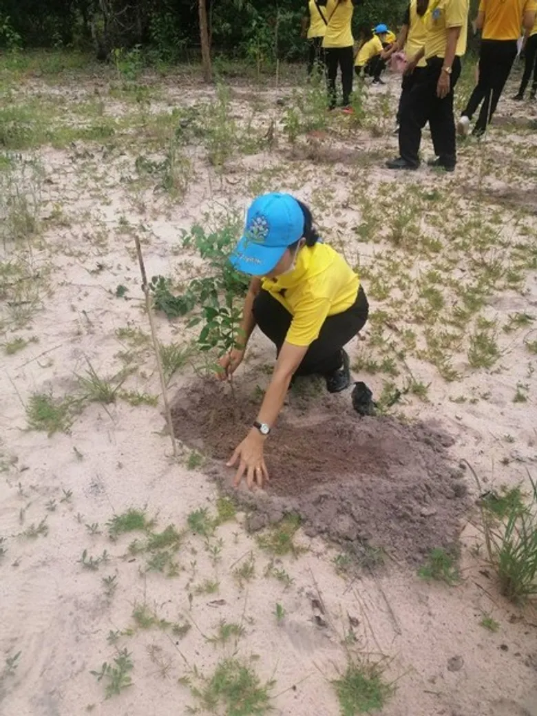 ภาพข่าว: สนพ.ยโสธร ร่วมปลุกต้นไม้