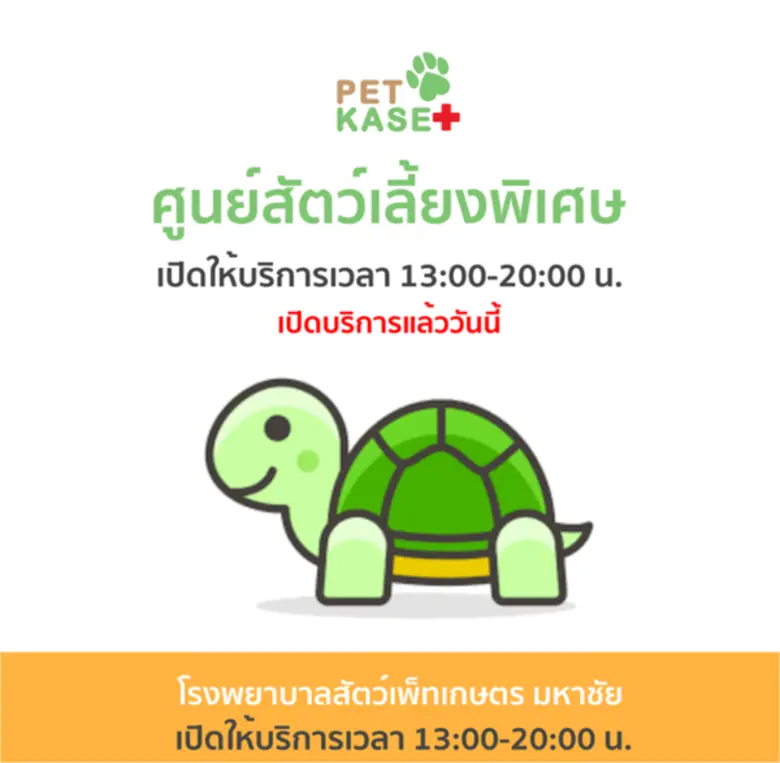 บรรยากาศในวันแรกก็ดูคึกคักน่าดูสำหรับบริก...